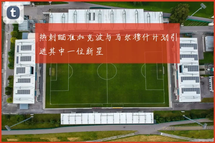 热刺瞄准加克波与马尔穆什计划引进其中一位新星