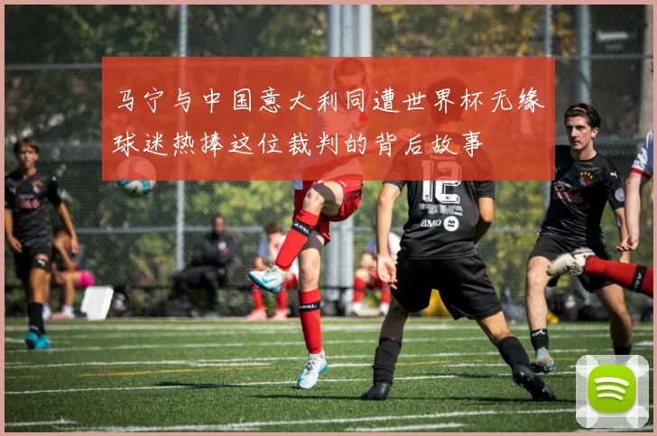 马宁与中国意大利同遭世界杯无缘球迷热捧这位裁判的背后故事
