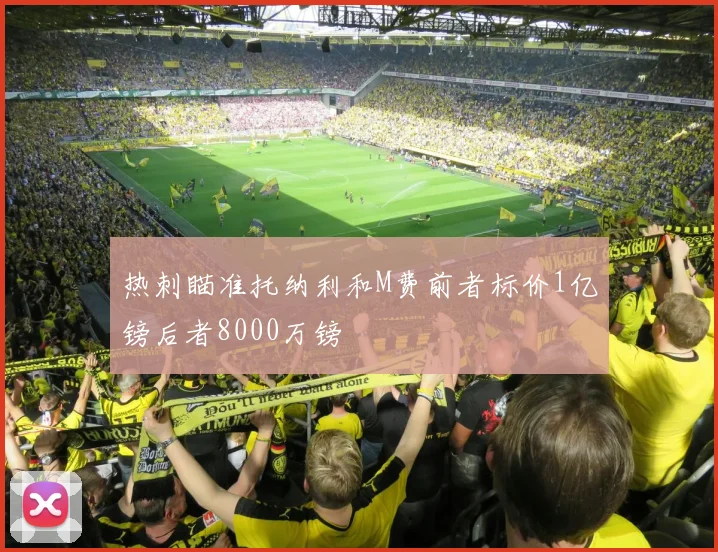 热刺瞄准托纳利和M费前者标价1亿镑后者8000万镑