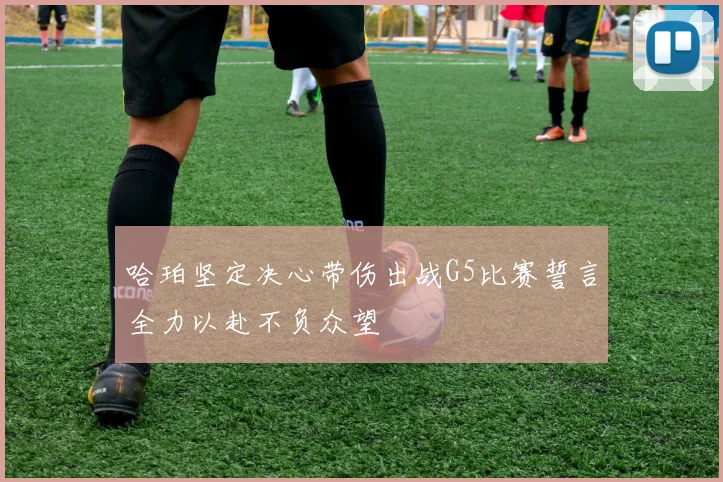 哈珀坚定决心带伤出战G5比赛誓言全力以赴不负众望