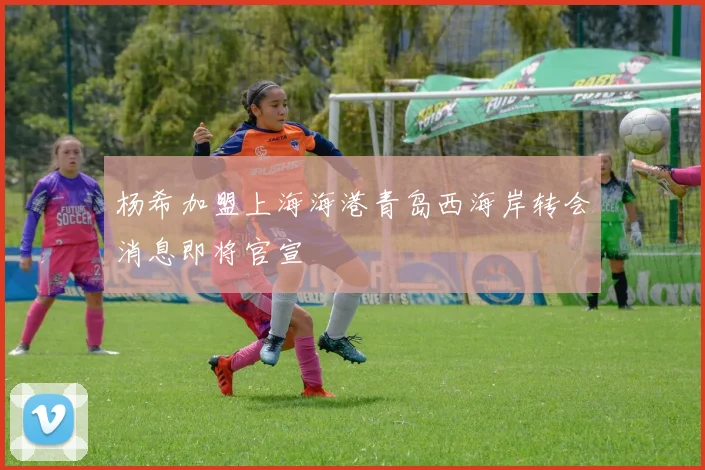 杨希加盟上海海港青岛西海岸转会消息即将官宣